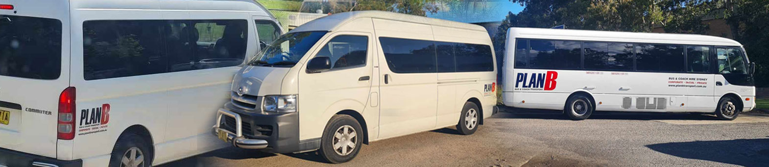 bus hire sydney services